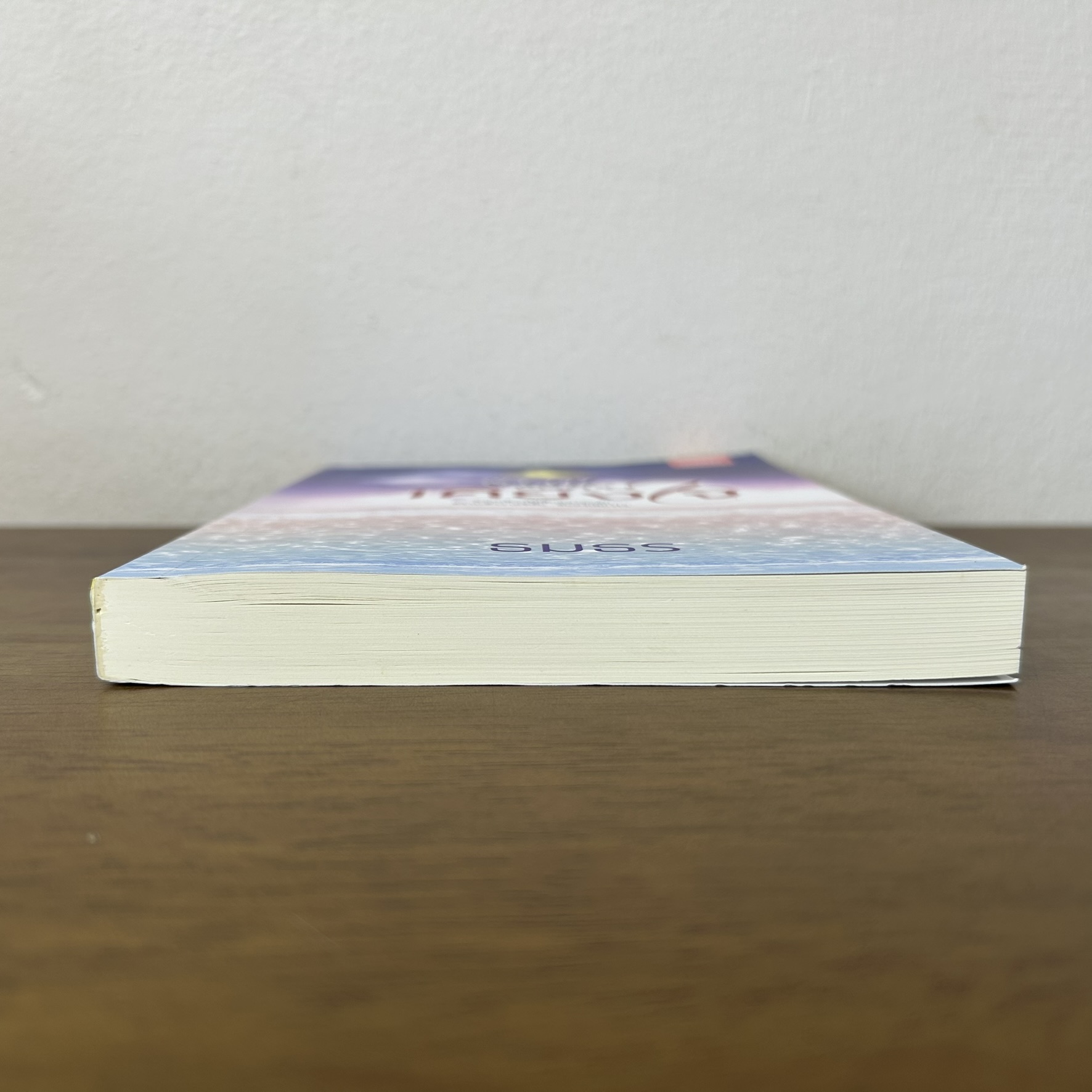 ตราบจันทร์เคียงใจ ... ธมธร (มือสอง) นิยาย โรแมนติก ดีต่อใจ