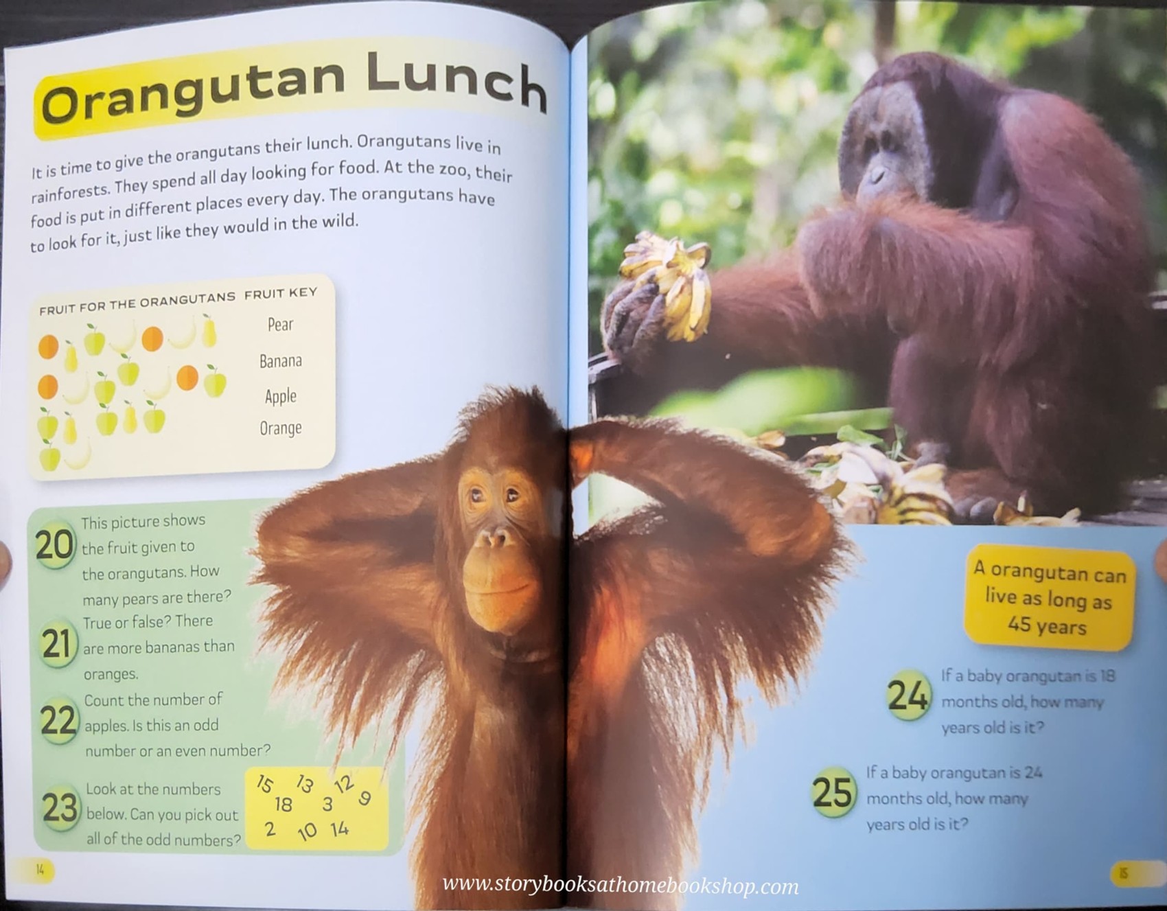 KNOWLEDGE BOOK** ð
MATHS ADVENTURES BE A ZOO KEEPER