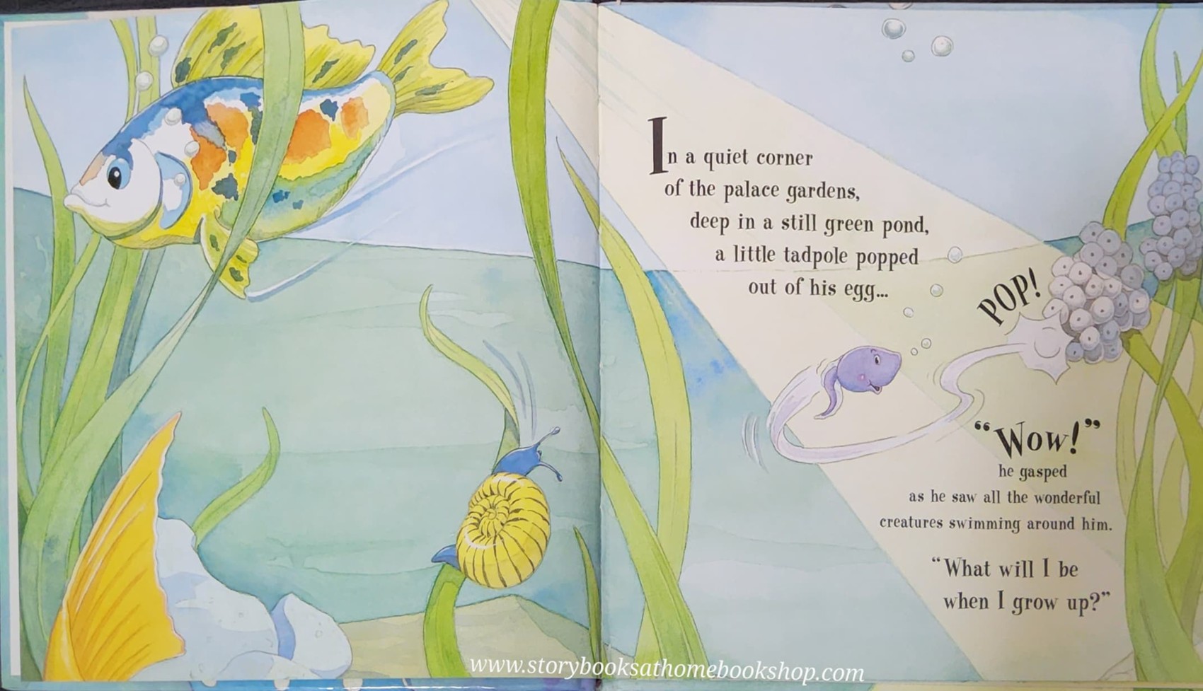 หนังสือนิทานปกแข็ง ** 🍅🍓 THE NAUGHTY FAIRY'S :NAUGHTY SURPRISE