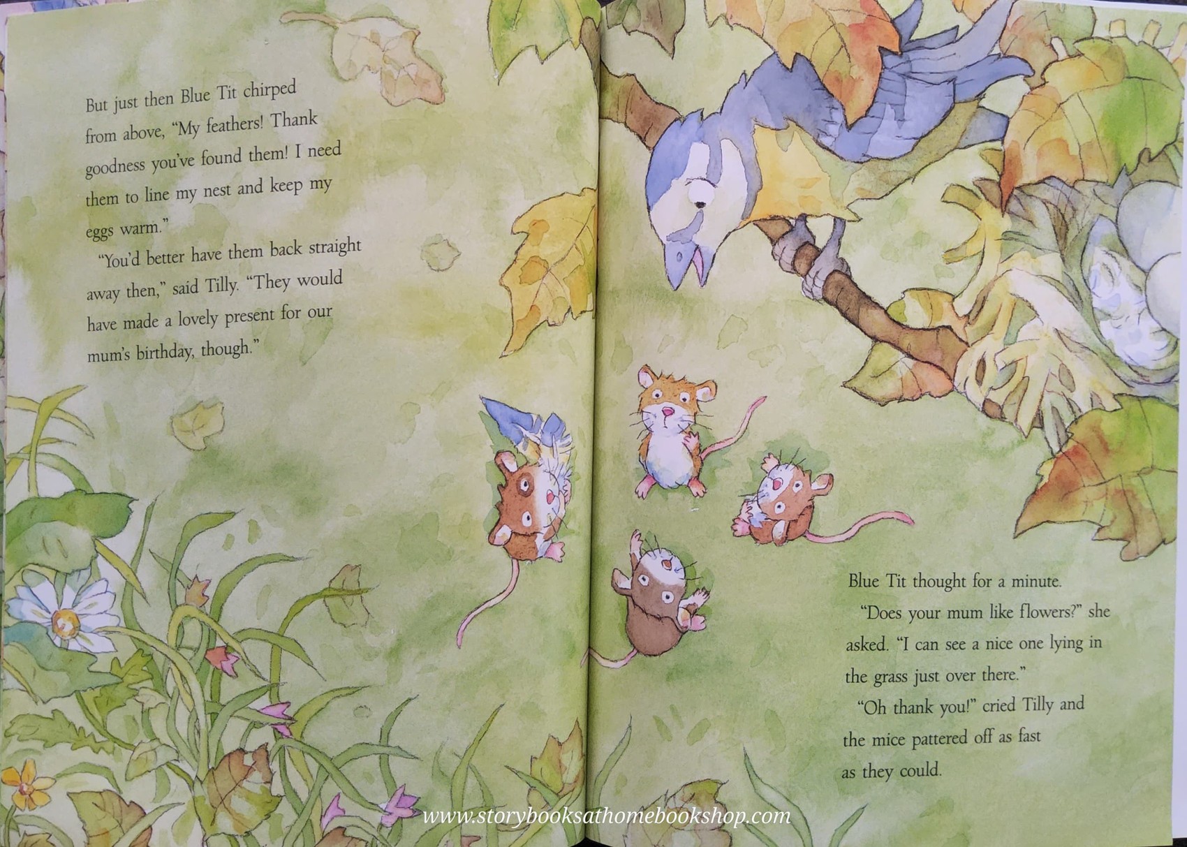 หนังสือนิทานปกอ่อน** 🍅JUST FOR YOU!♥️