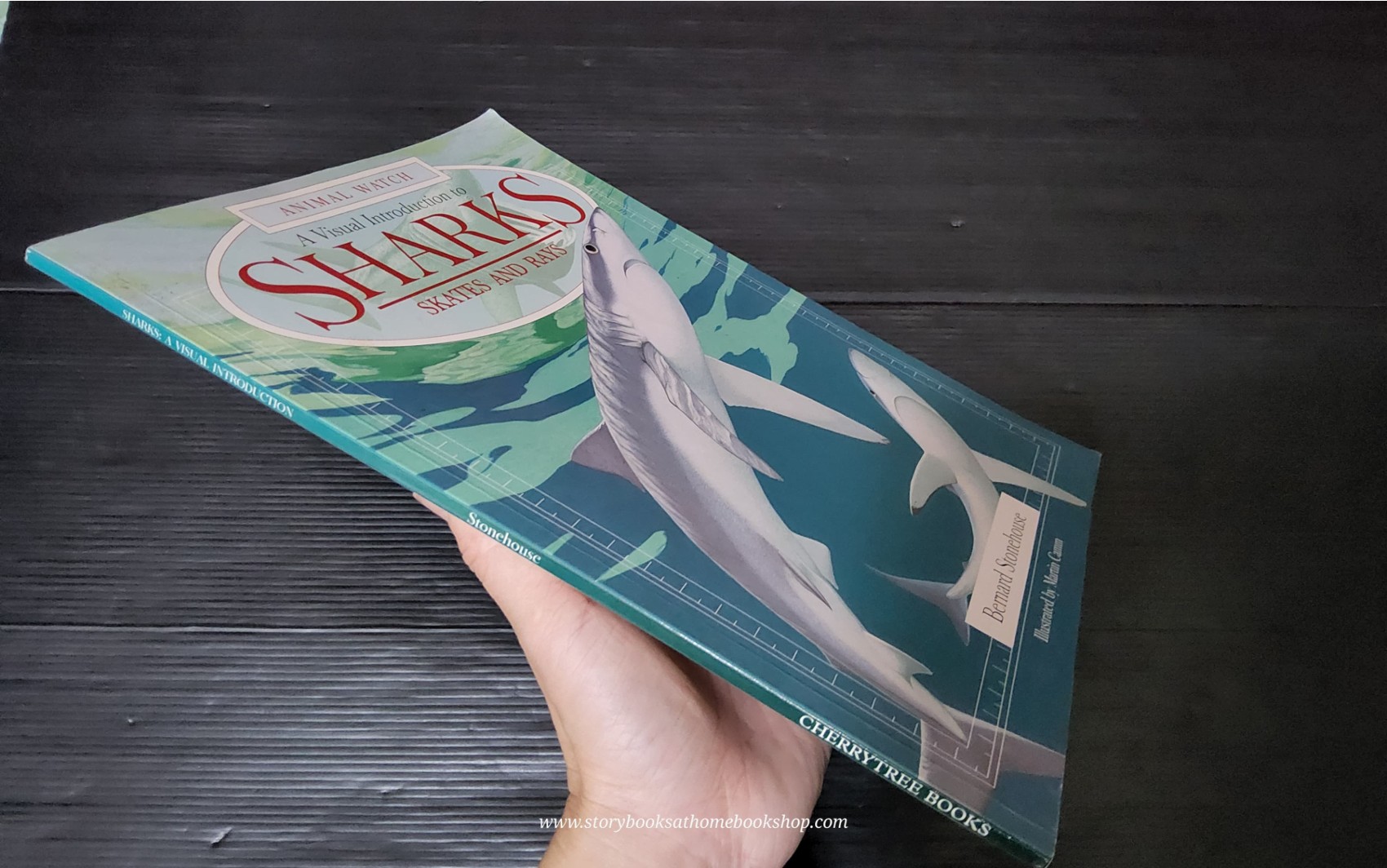 KNOWLEDGE BOOK** ð
ðANIMAL WATCH A VISUAL INTRODUCTION TO SHARKS SKATES AND RAYS