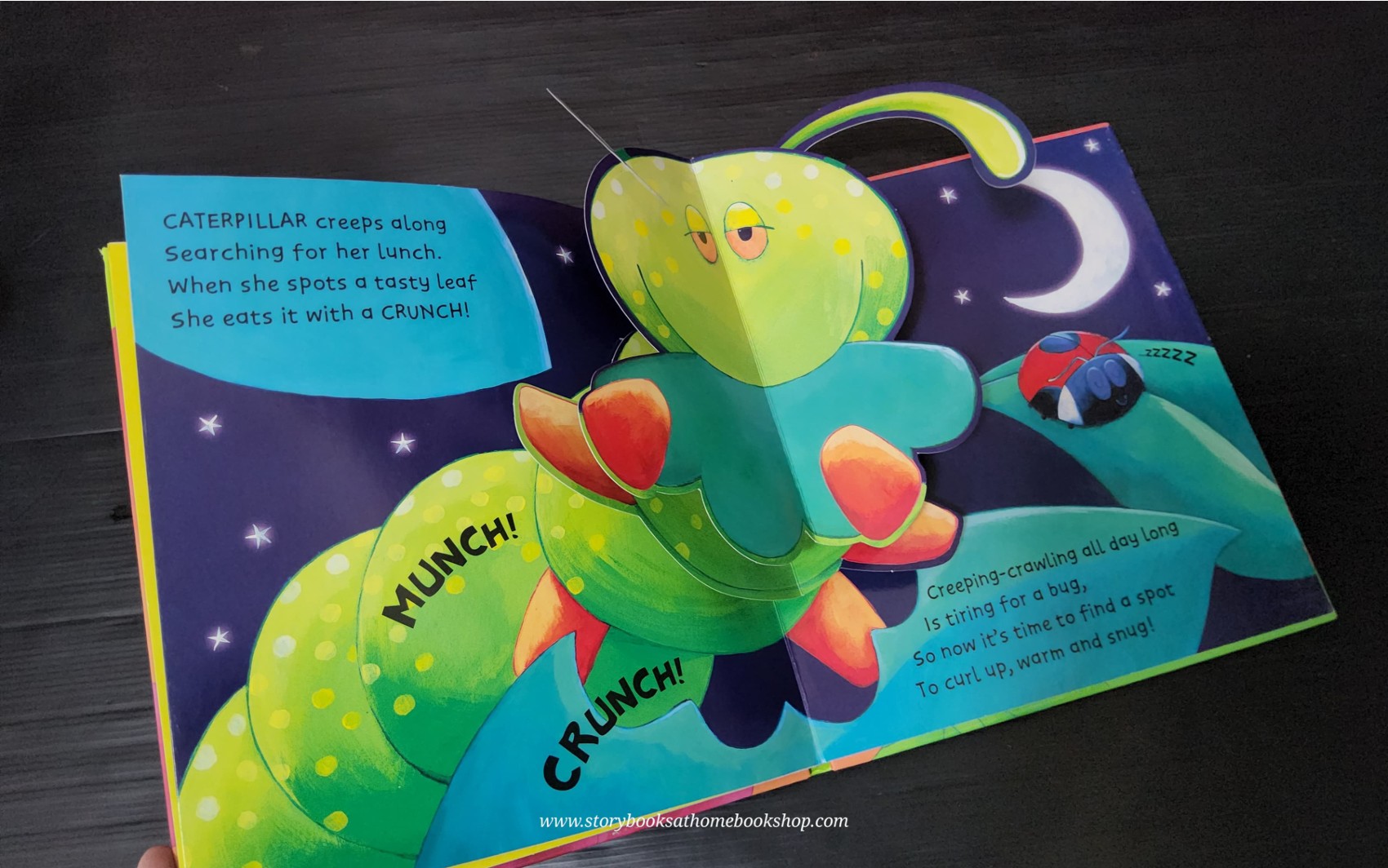 POP-UP BOOK** 🍅🍅POP-UP BUSY GARDEN