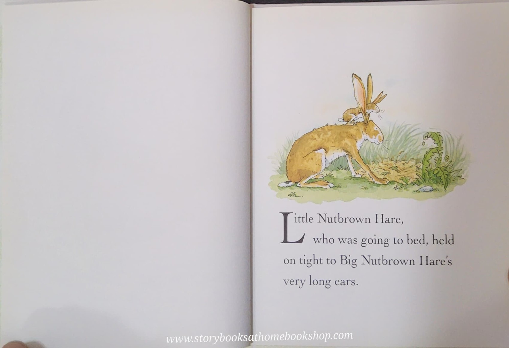 หนังสือนิทานปกแข็ง** 🍓🍓GUESS HOW MUCH I LOVE YOU (ปกขาว)