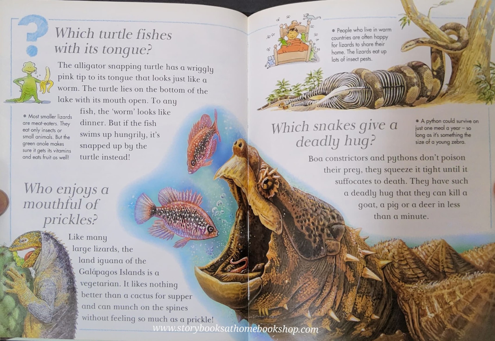 KNOWLEDGE BOOK** 🍅🍓I Wonder Why SNAKES SHED THEIR SKIN and other questions about reptiles