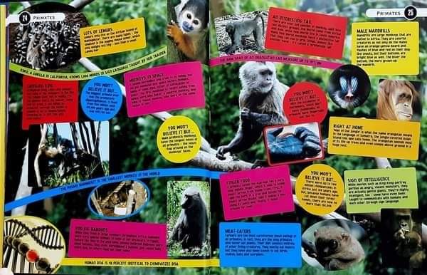 Knowledge Book หนังสือความรู้ 🍅🍓KNOW IT ALL