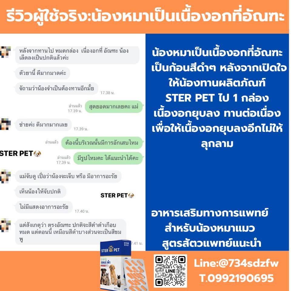 เซตทดลอง สเตอร์ เพ็ท Ster Pet เนื้องอกหมาแมว ก้อนเนื้อหมาแมว มะเร็งสุนัขแมว ลดอักเสบ ลดขนาดก้อนเนื้อ เบื่ออาหาร น้ำหนักลด ไตวายหมาแมว แผลยุบเร็ว ( 15 แคปซูล)