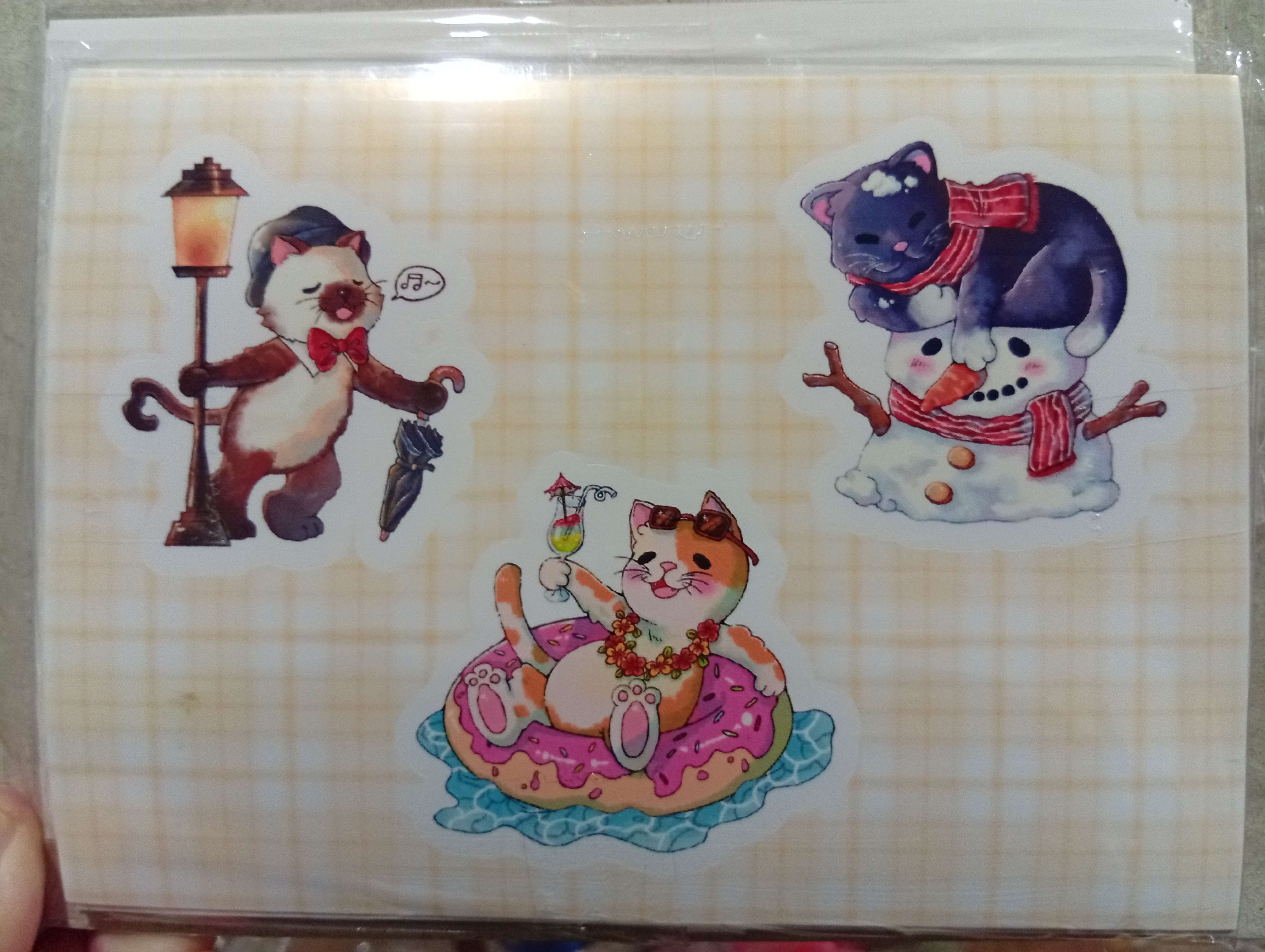 (พร้อมส่ง Sticker) แมวชิลล์ 3 ฤดู