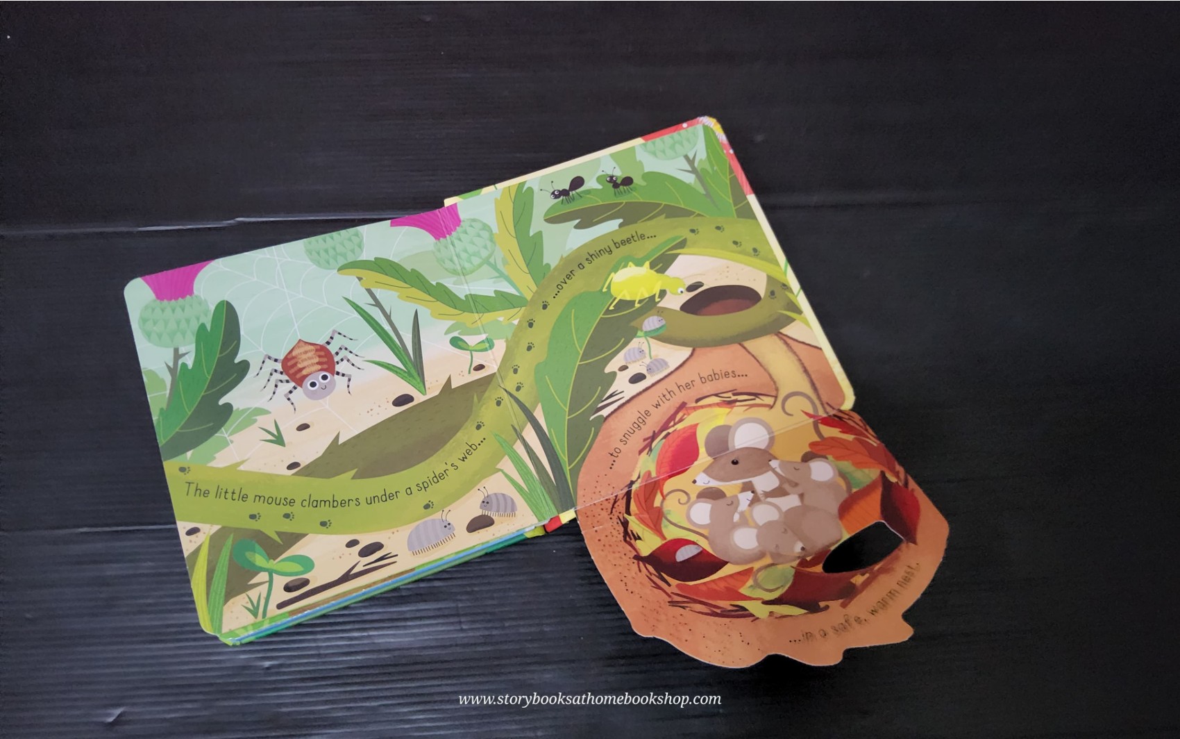 FLAP BOARD BOOK** 🍅🍓USBORNE LITTLE LIFT AND LOOK:GARDEN