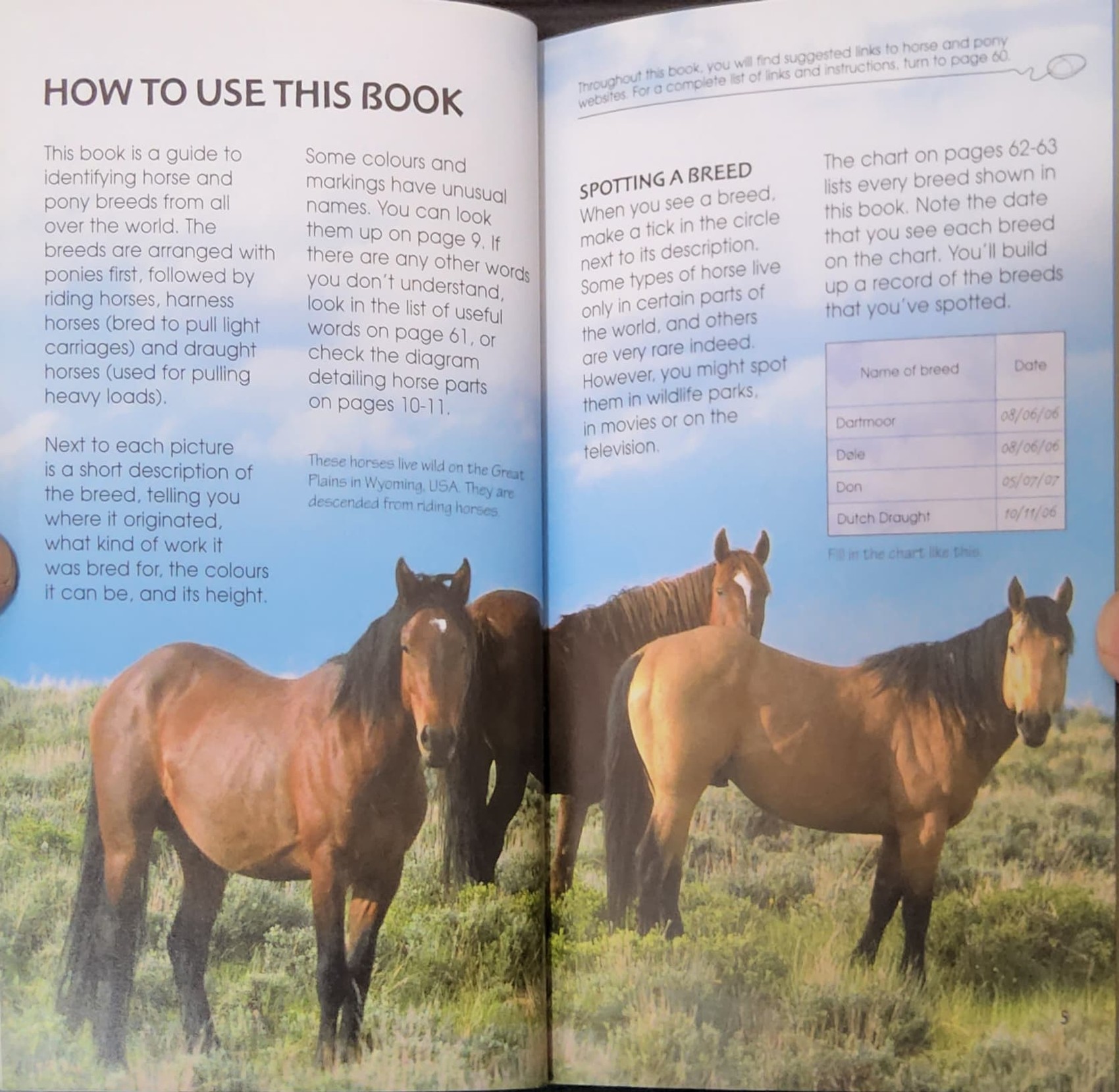 KNOWLEDGE BOOK** ð
ð
Usborne Spotter's Guide: HORSES&PONIES