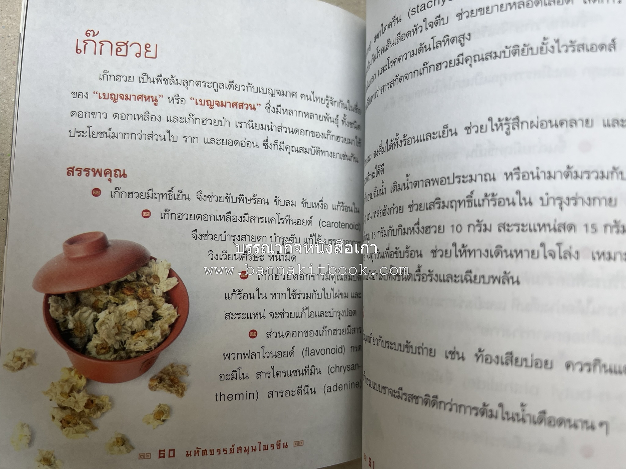 มหัศจรรย์สมุนไพรจีน โดย : บริษัทหลักทรัพย์จัดการกองทุน กสิกรไทย จำกัด.