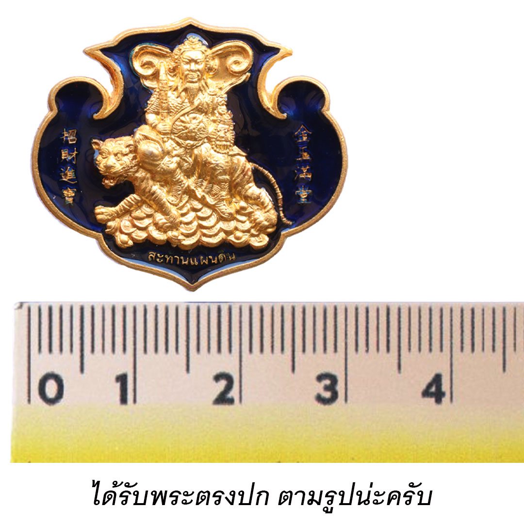 เหรียญกังสดาล เทพเจ้าไฉ่ซิงเอี๊ย วัดเล่งเน่ยยี่ ปี2553 เนื้อทองเหลือง ลงยาน้ำเงิน (พิมพ์ใหญ่)