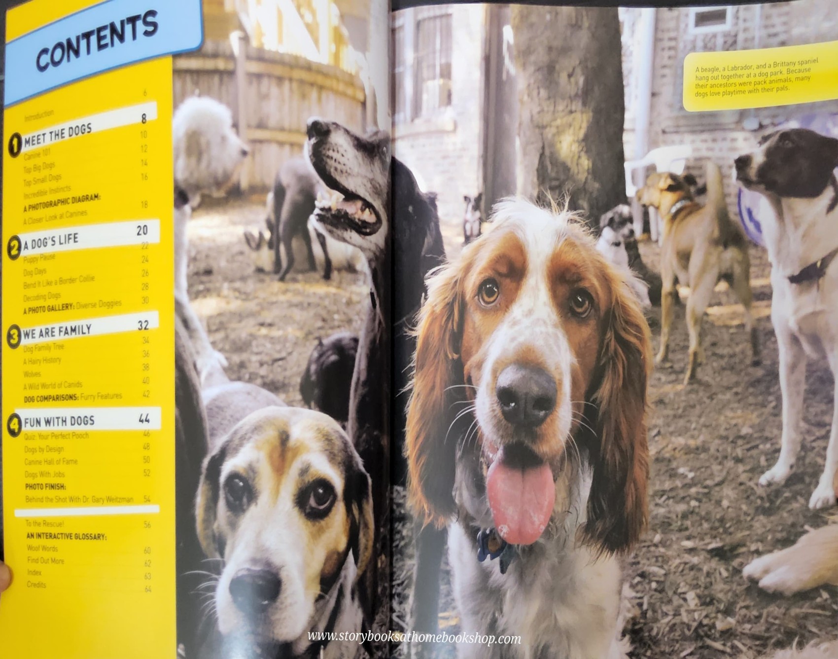 KNOWLEDGE BOOK** ♥️NATIONAL GEOGRAPHIC KIDS:EVERYTHING DOGS