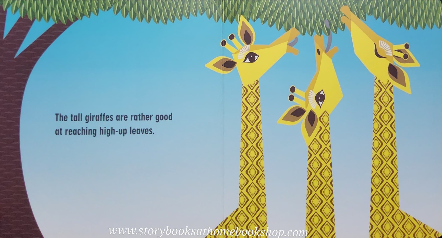 BOARD BOOK ** ð
THE SAFARI SETð