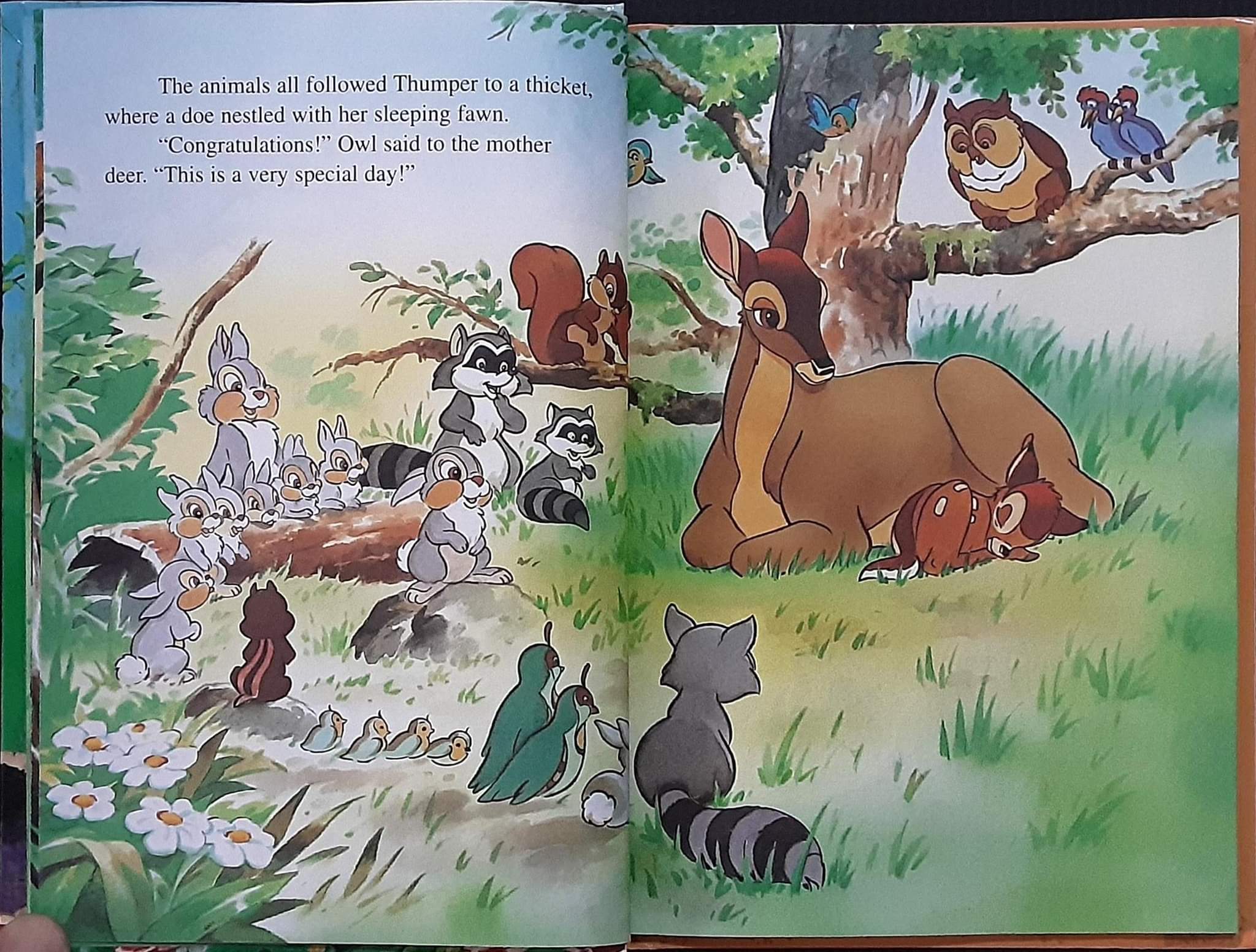 หนังสือนิทานปกแข็ง** 🍅🍓DISNEY BAMBI