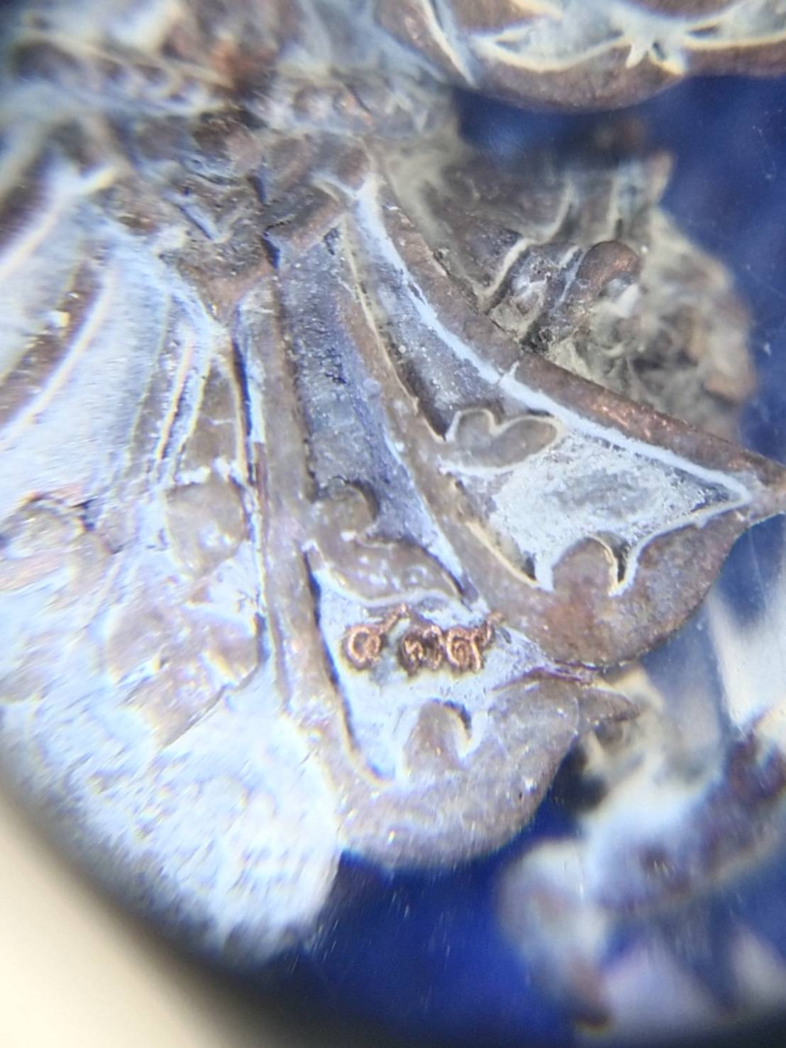 พญาสุบรรณครุฑ รุ่นแรก หลวงพ่อวิชิต วัดป่าเขาปลวก จ.บุรีรัมย์ ปี 2564