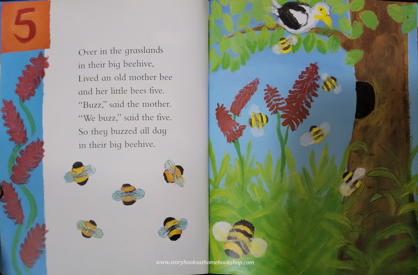 หนังสือนิทานปกอ่อน ** 🍅🍓OVER IN THE GRASSLANDS BY ANNA WILSON AND ALISON BARTLETT