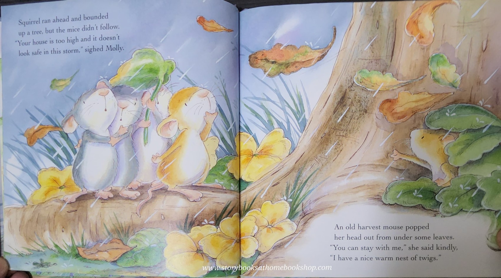 หนังสือนิทานปกแข็ง** 🍅🍓MOLLY AND THE STORM BY CHRISTINA LEESON AND GABY HANSEN