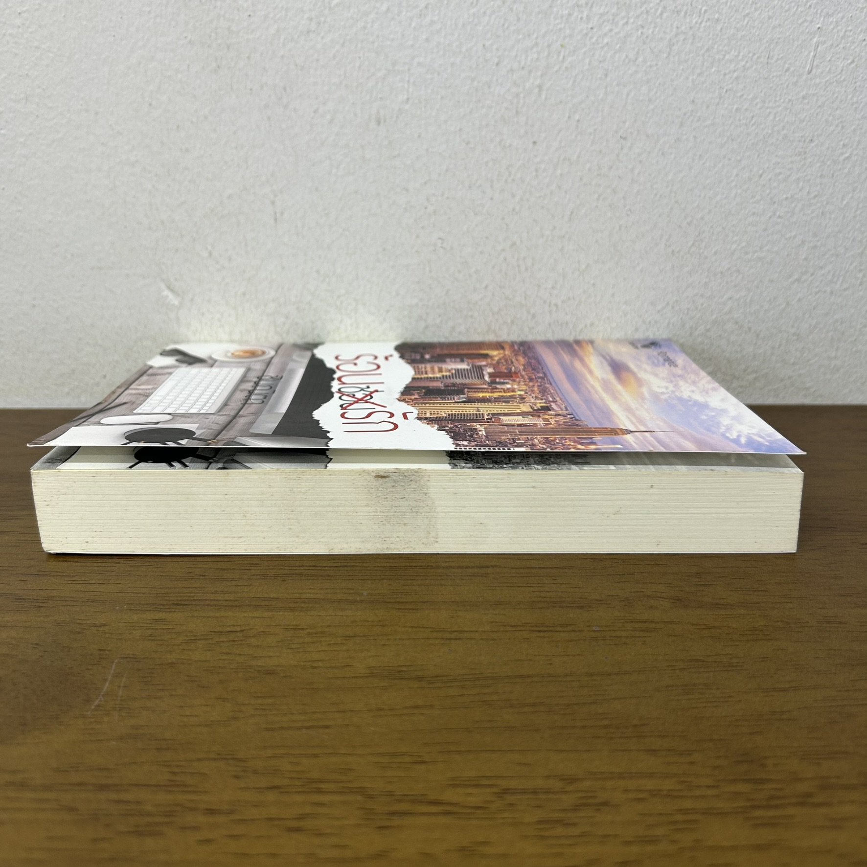 ร้อนซ่อนรัก ... ชินณิตา (มือสอง) นิยาย โรมานซ์ ทำมือ