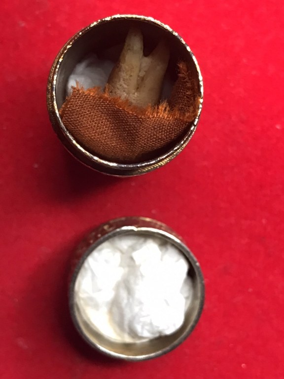 พระทันตธาตุครูบาแสง วัดร่องช้าง จ.ลำพูน ได้มาจากลุงประสิทธิ์ อดีตนายอำเภอ เวียงหนองล่อง อายุ 74 ปี เล่าว่าได้มา เมื่อสมัยที่ท่านเป็นปลัดอำเภอ อ.ป่าซาง เมื่อปี 2532 ได้จากผู้ช่วยผู้ใหญ่บ้านใน อ.ป่าซาง ซื่อว่าวิโรจน์ซึ่งมีศักดิ์เป็นหลานครูบาแสง