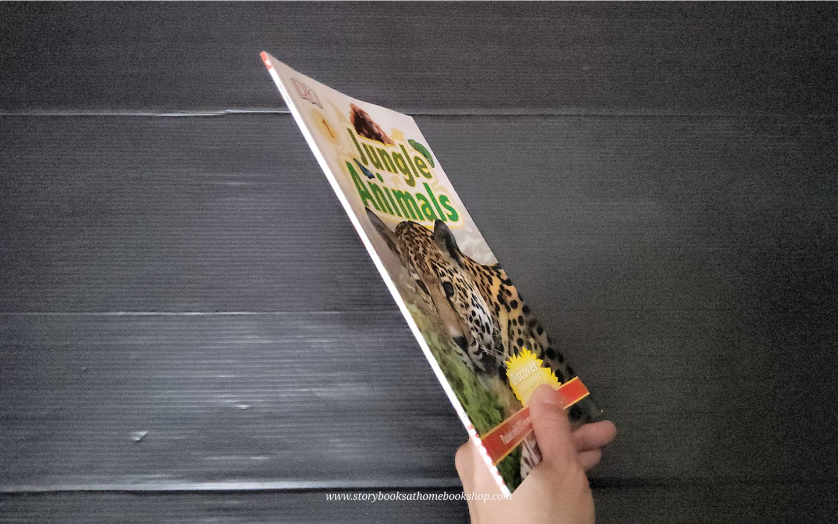 KNOWLEDGE BOOK ** 🍅🍓DK LEVEL 1 JUNGLE ANIMALS