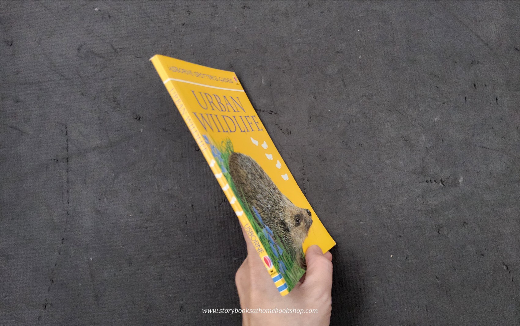 Knowledge Book** ð
ð
Usborne Spotter's Guide URBAN WILDLIFE