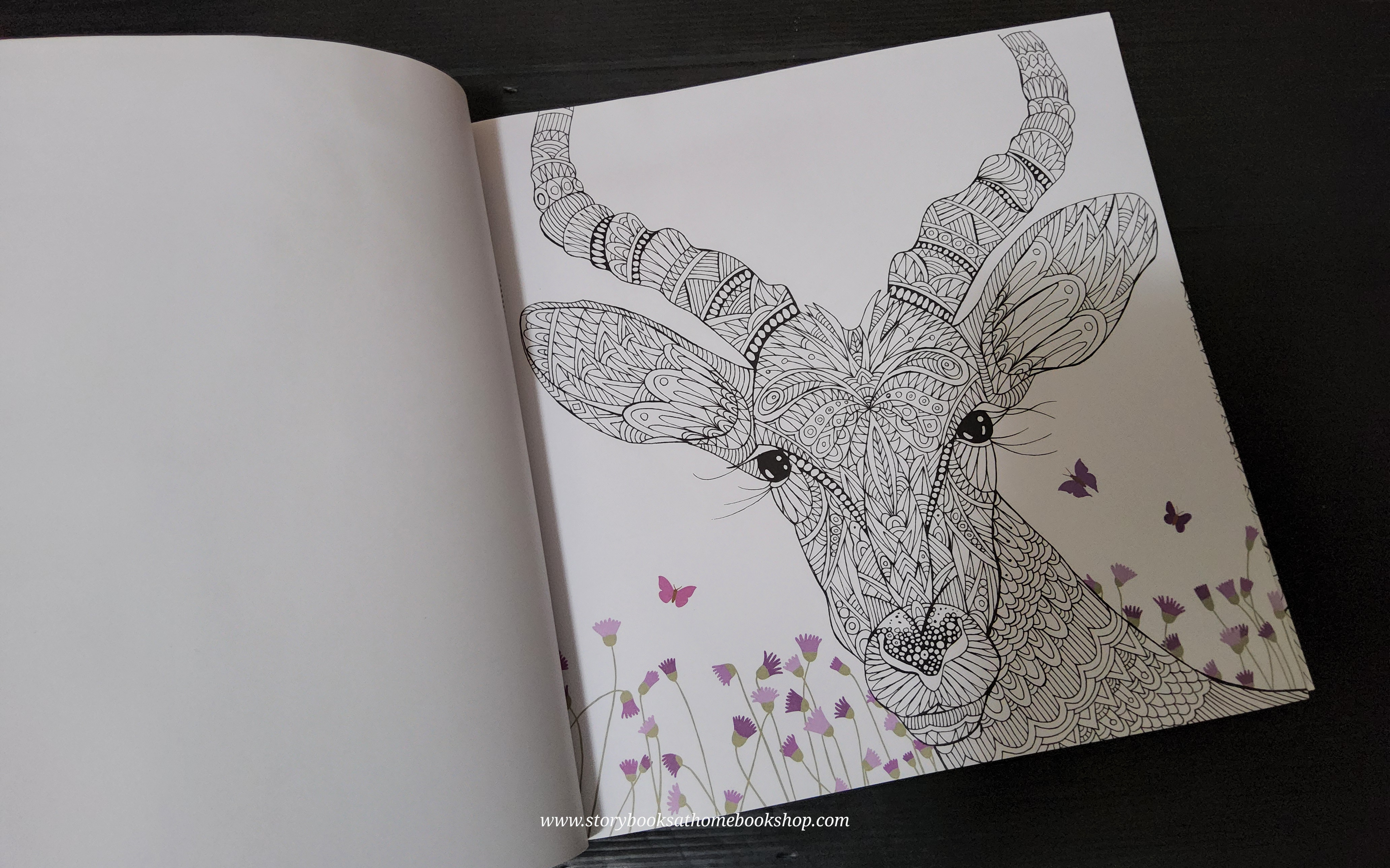 ACTIVITY BOOK** ð
ð
THE MENAGESIE ANIMAL PORTRAITS TO COLOUR