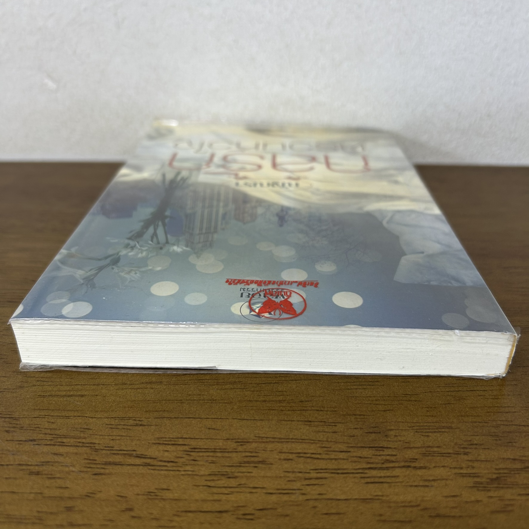 กลรักตรวนหัวใจ ... ณัฐณรา (มือสอง) นิยาย โรมานซ์ พลอยวรรณกรรม