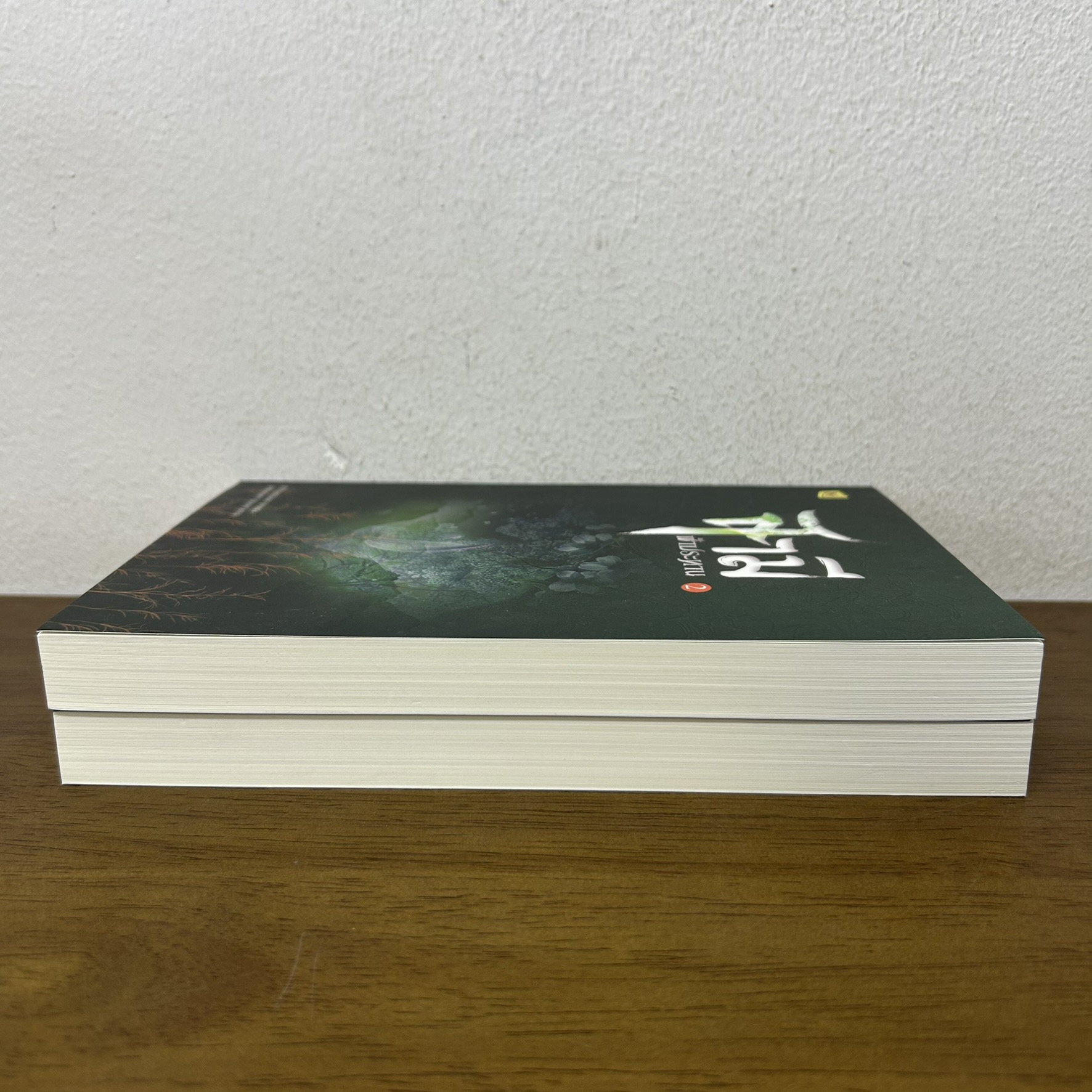 สามีฟ้าประทาน เล่ม 1-2 จบ ครบชุด ... จิ่วลู่เฟยเซียง Jiu Lu Fei Xiang (มือสอง) นิยาย แปลจีน ห้องสมุด