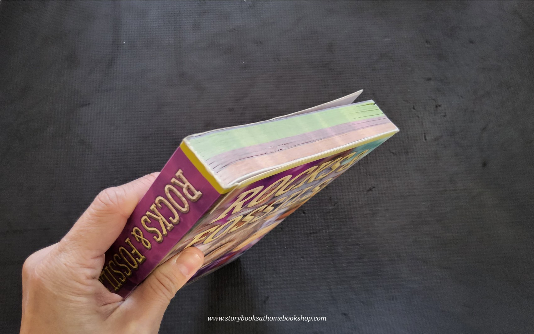 KNOWLEDGE BOOK** ♥️ROCK&FOSSILS DISCOVER THE WORLD BENEATH YOUR FEET