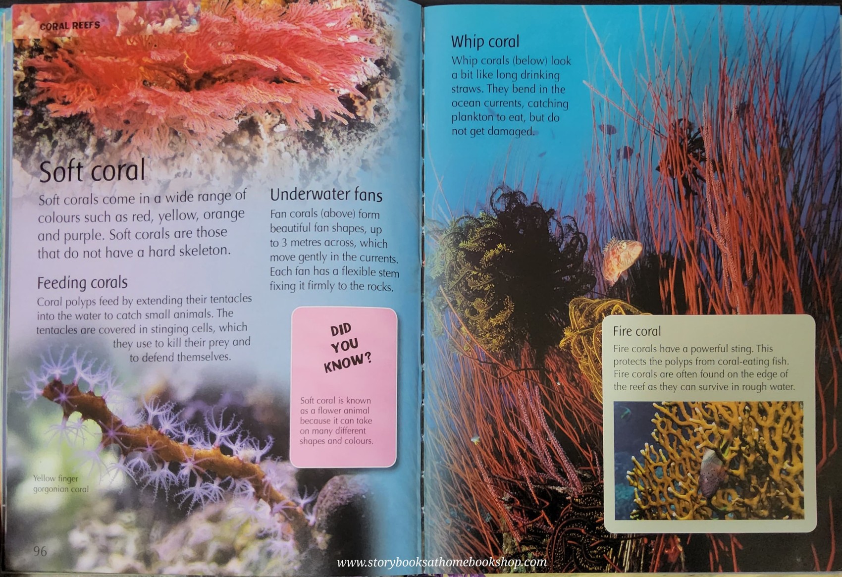 Knowledge Book** ð
ðTHE CHILDREN'S ENCYCLOPEDIA OF OCEANS with 3D COVER