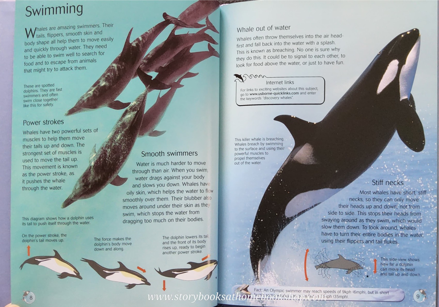 KNOWLEDGE BOOK** ♥️♥️USBORNE DISCOVERY WHALES AND DOLPHINS♥️♥️
