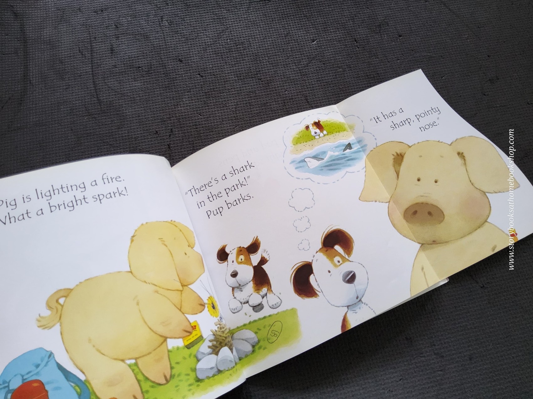 หนังสือนิทานปกอ่อน** 🍅🍓USBORNE PHONICS READERS: SHARK IN THE PARK