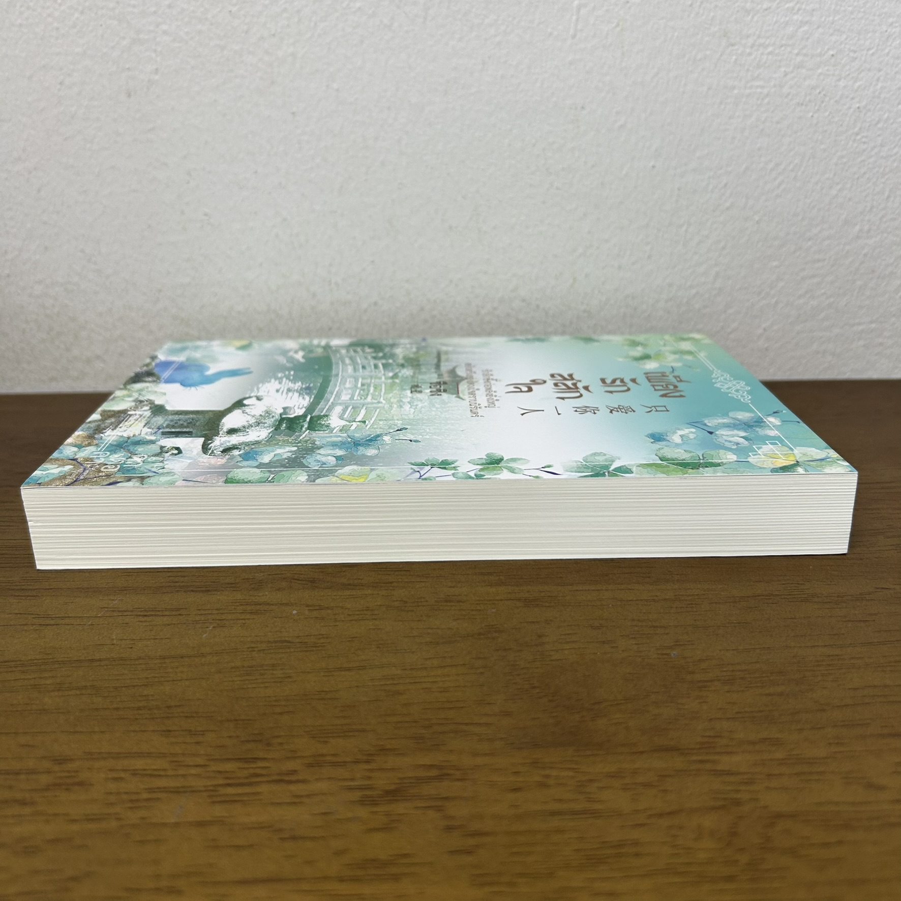 เพียงรักสลักใจ ... ซือซิง (มือสอง) นิยาย คำต่อคำ จีนโบราณ