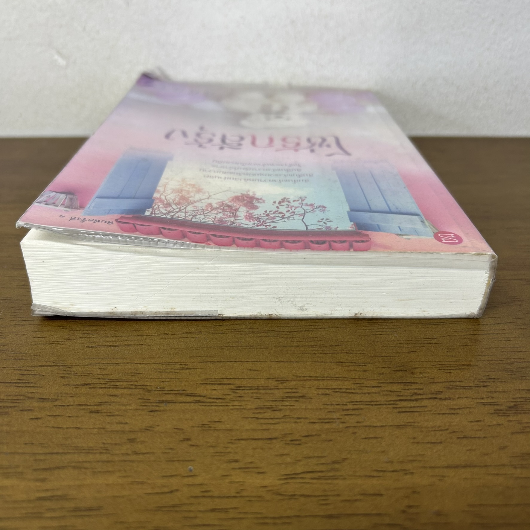 โซ่รักสีรุ้ง ... ศศิภา (มือสอง) นิยาย โรแมนติก