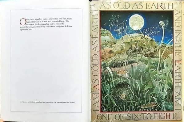 หนังสือนิทานปกแข็ง** 🍅🍓MASQUERADE BY KIT WILLIAMS