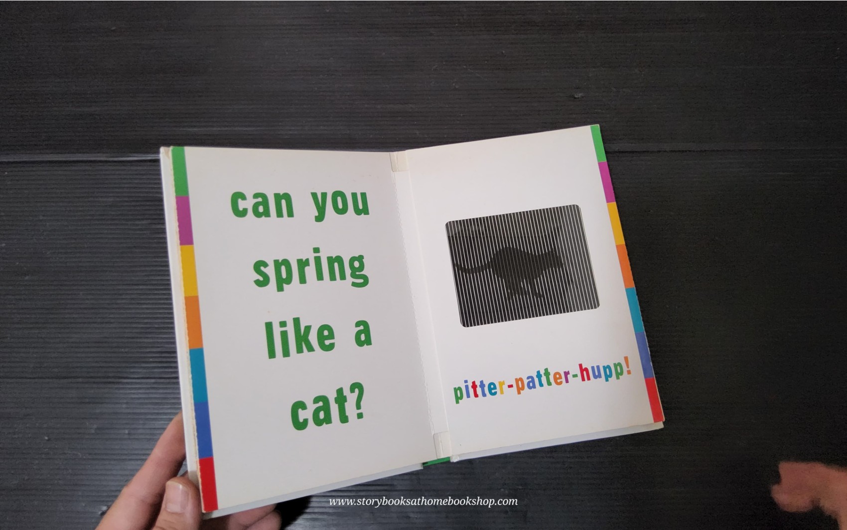 BOARD BOOK** 🍅🍅 GALLOP! A SCANIMATION PICTURE BOOK