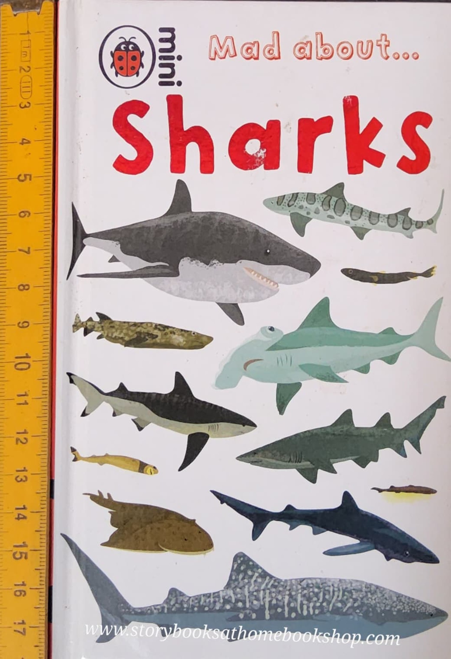หนังสือนิทานปกแข็ง** 🍅🍓MAD ABOUT SHARKS