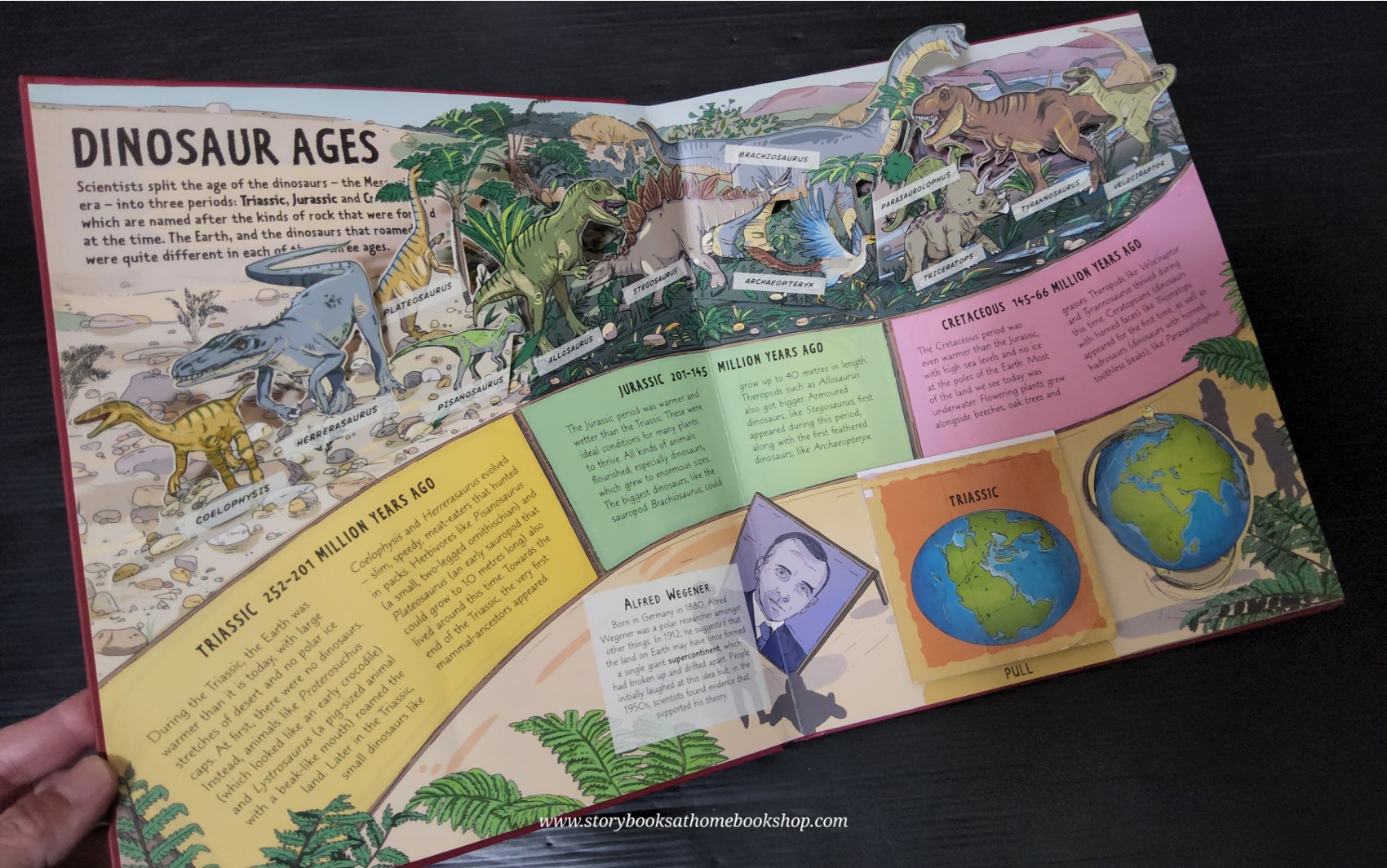 Pop-up Knowledge book ** 🍅🍓 A DAY AT THE DINOSAUR MUSEUM