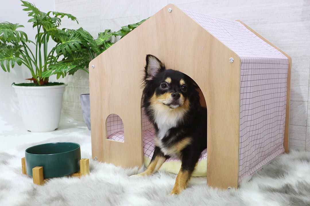 Pet house บ้านสัตว์เลี้ยง Minimal บ้านสุนัข บ้านแมว 47x52x50 cm