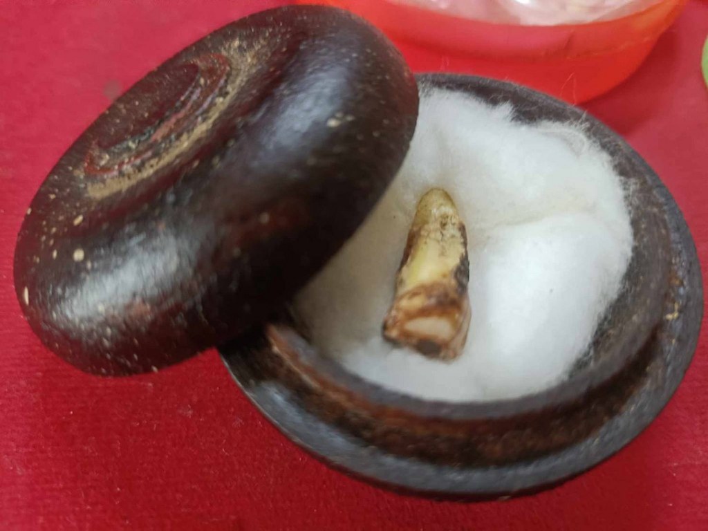 พระทันตธาตุครูบาอิ่นแก้ว วัดป่าถ่อน อ.แม่สรวย จ.เชียงราย ได้มาจากคุณลุงสมหมาย อดีตตำรวจ อ.แม่สรวย คุณลุงสมหมายเป็นญาติหรือหลานครูบาอิ่นแก้ว คุณลุงสมหมายอายุ 62 ปี ยังมีชีวิตอยู่ ได้รับพระทันตธาตุครูบาอิ่นแก้วนี้เมื่อ พ.ศ. 2547 ตอนที่ท่านอายุ 42 ปี