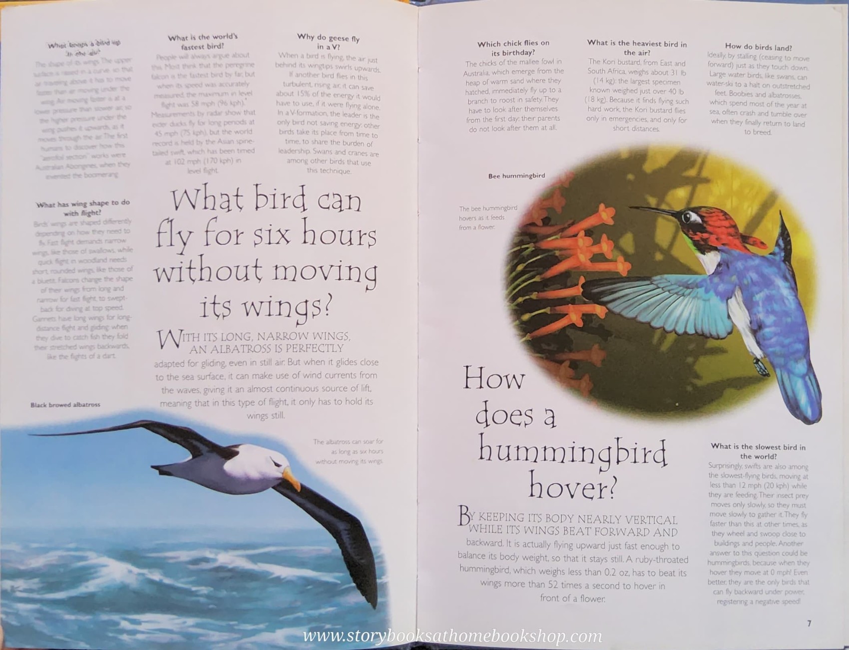 KNOWLEDGE BOOK** ♥️♥️QUESTIONS AND ANSWERS BIRDS