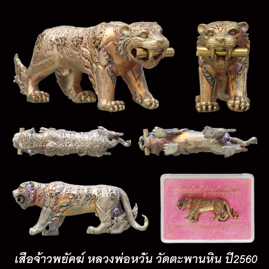 เสือจ้าวพยัคฆ์ หลวงพ่อหวั่น วัดคลองคูณ รุ่นคลังสมบัติ ปี60 พร้อมกล่องเดิม