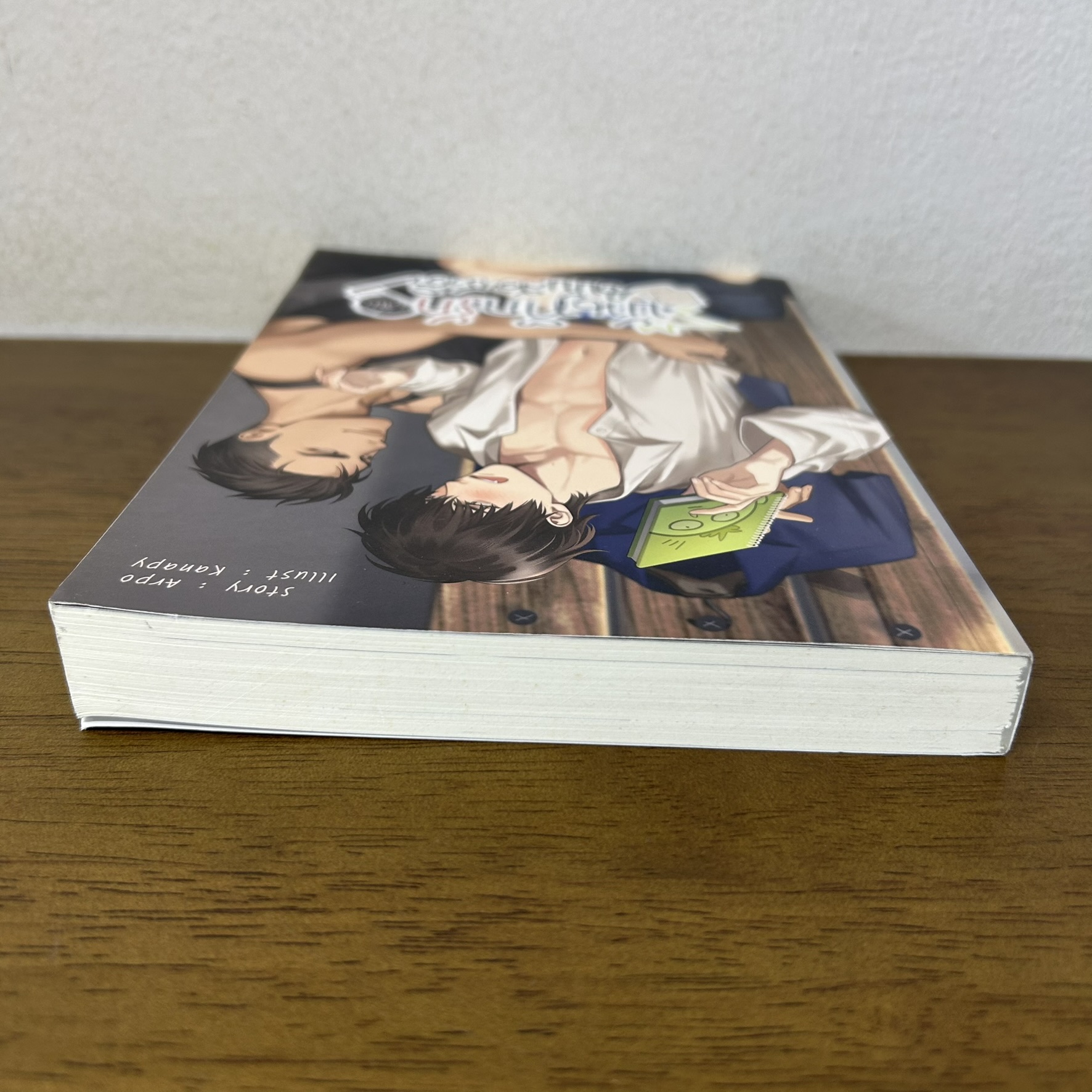 [YAOI] บันทึกรัก (ลับ) ฉบับสมชาติ ... Arpo (มือสอง) นิยายวาย SENSE