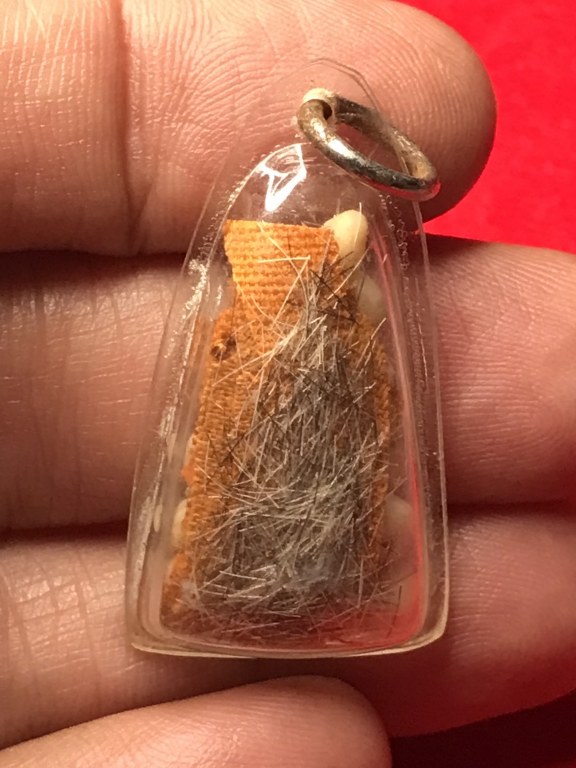 พระเกศา จีวร พระธาตุข้าวบิณฑ์ หลวงปู่ ครูบาชัยยะวงศา วัดพระพุทธบาทห้วยต้ม พระเกศาจำนวนมาก