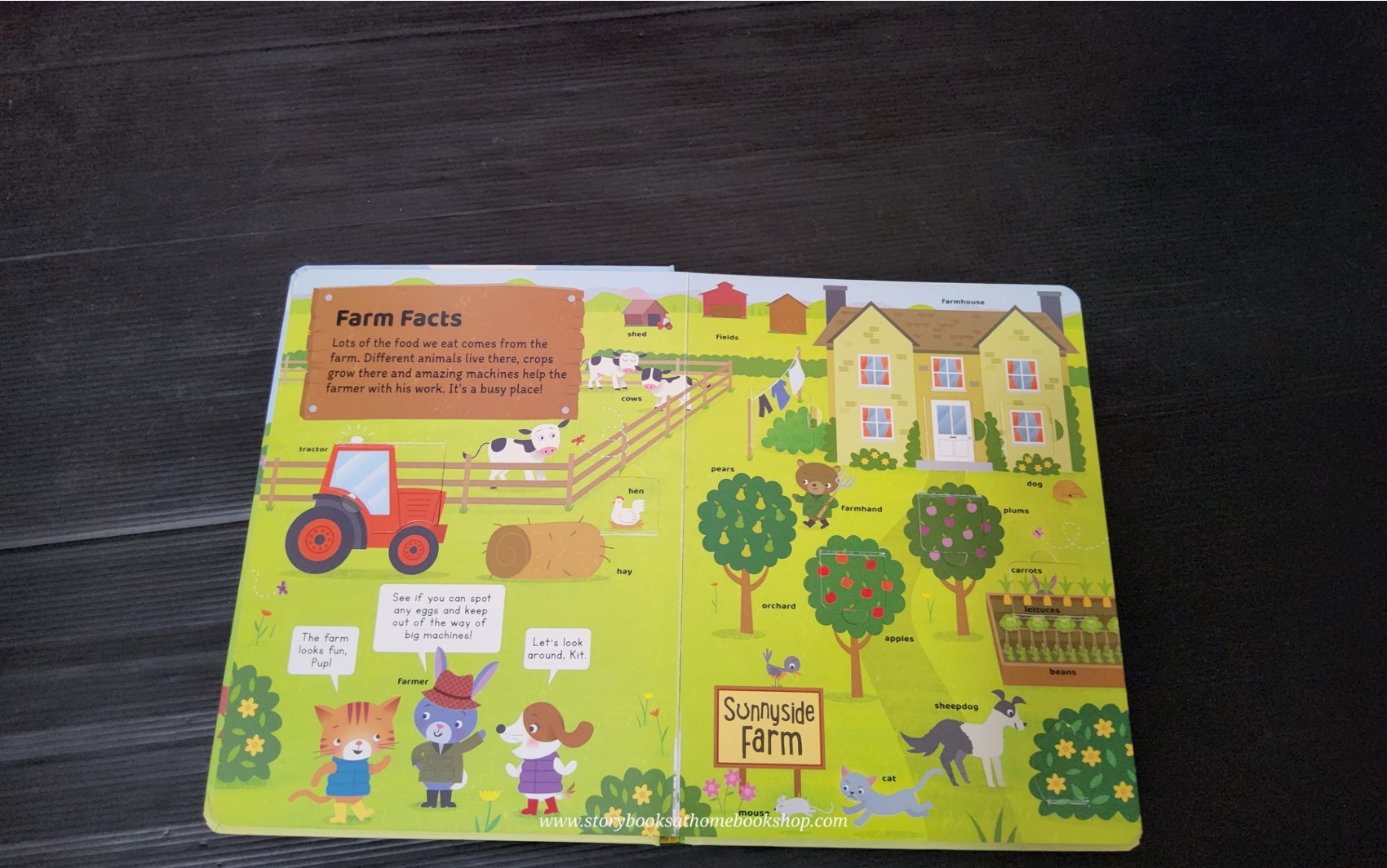 FLAPS BOARD BOOK ** 🍅🍅TOWN AND ABOUT FARM