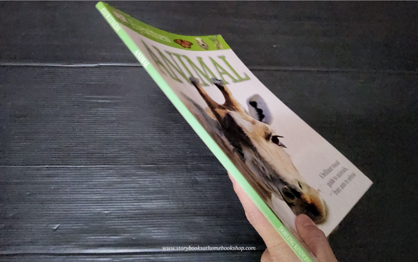 Knowledge Book** 🍅🍓DK Eyewitness ANIMAL