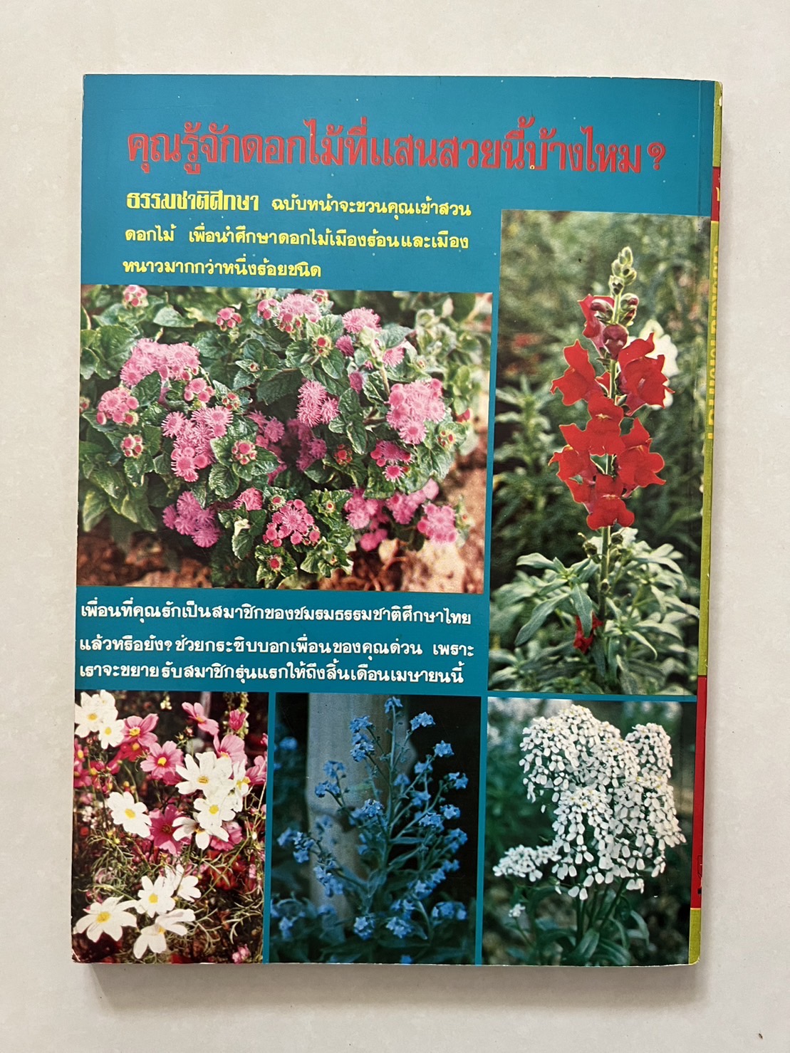 ธรรมชาติศึกษา : ฉบับแนะนำไม้ใบ-ไม้ประดับของไทยและเทศ (ชุดที่ 1 เล่มที่ 2 ลำดับที่ 2 ปี 2521).