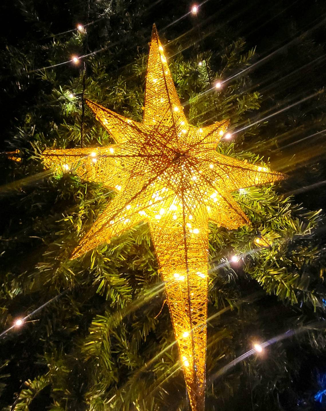 ดาวคริสต์มาส"ดาวยอดมีไฟ"ใช้ต้นเท่าไหร่เลือกขนาดที่เหมาะสมนะครับ