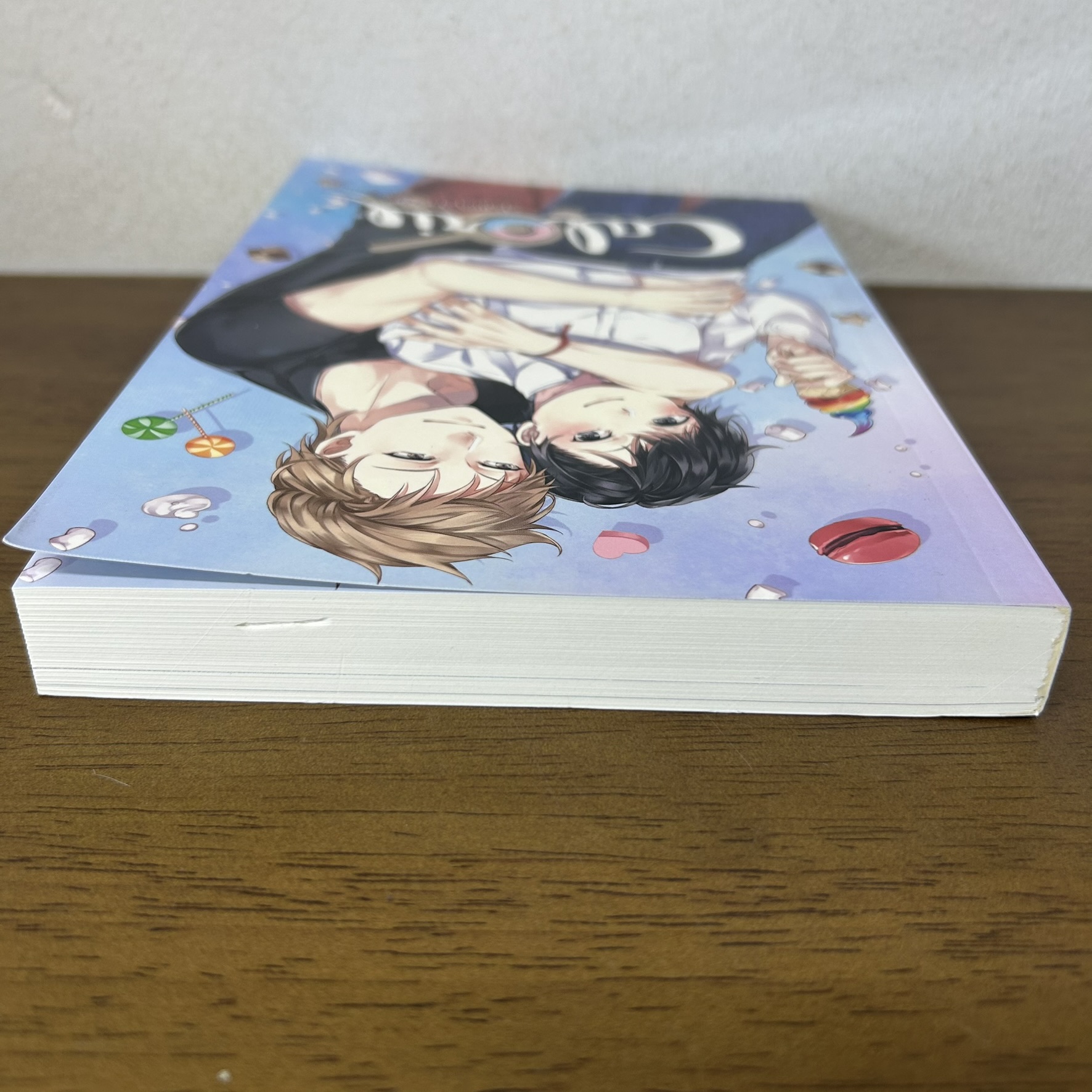 [YAOI] Calorie ผมแค่มารอลี่ ... Gloomy Sunday (มือสอง) นิยายวาย Hermit