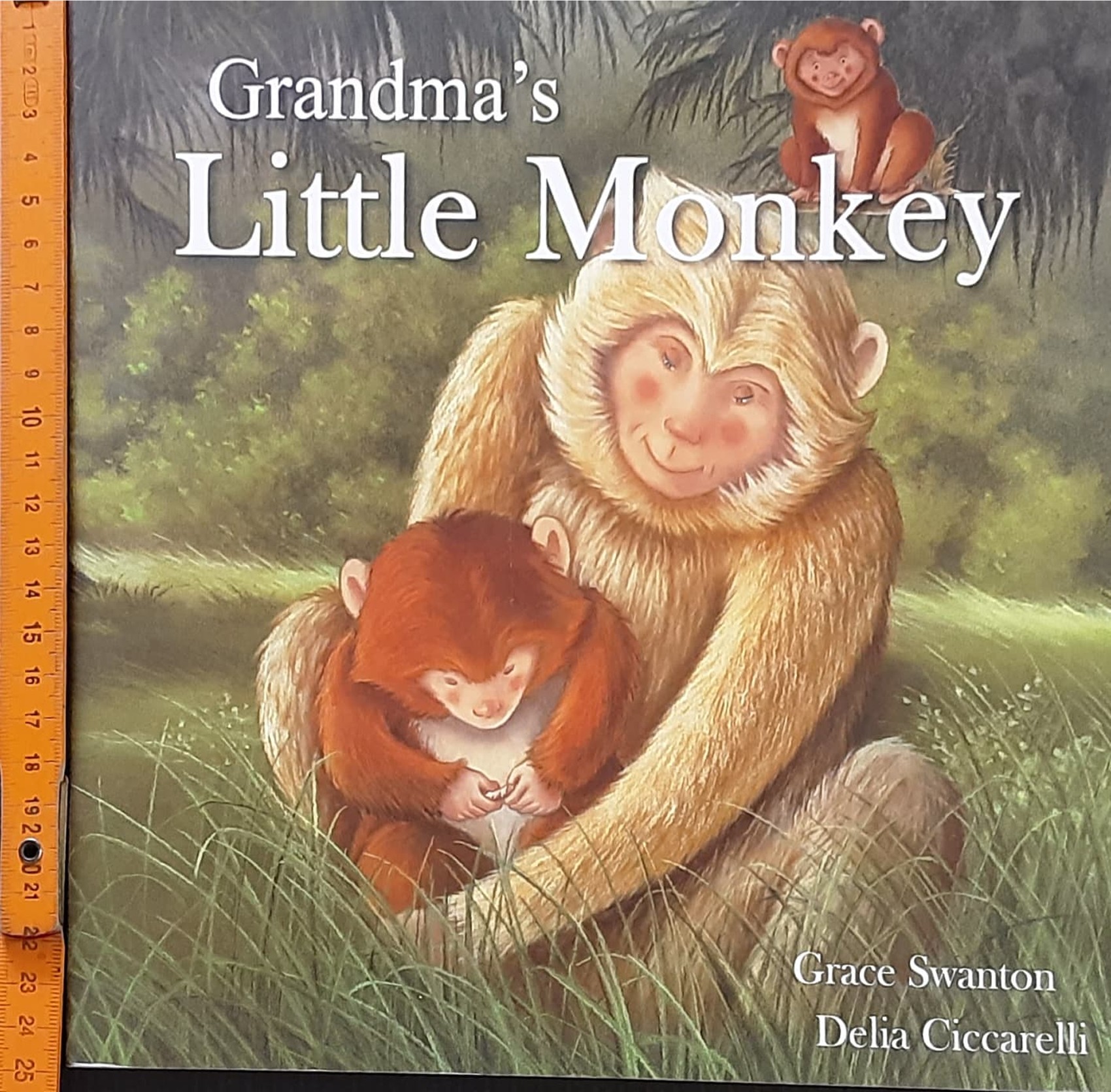 หนังสือนิทานปกอ่อน** 🍅🍓Grandma's Little Monkey